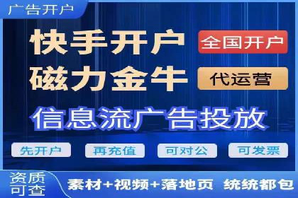 某行业SEM主管的优化策略与成果展示